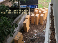 Mua và lắp đặt máy lạnh giấu trần nối ống gió Daikin giá rẻ